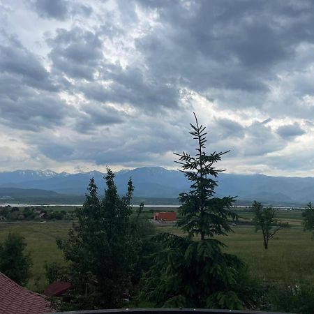 Pensiunea Iza Bradu  Exteriér fotografie