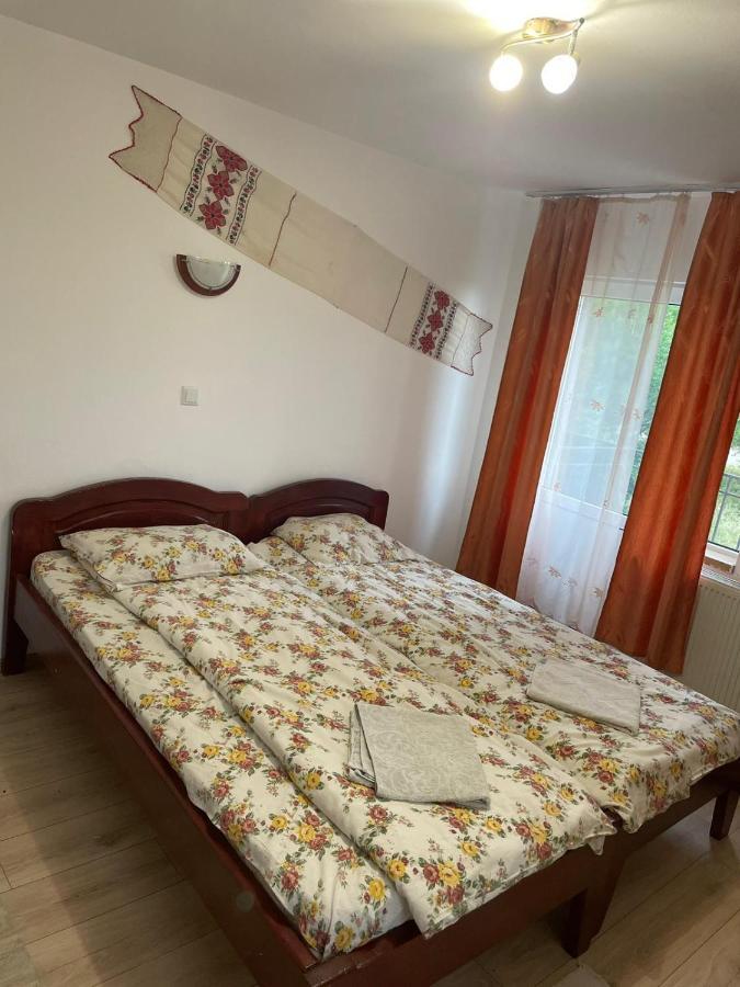 Pensiunea Iza Bradu  Exteriér fotografie