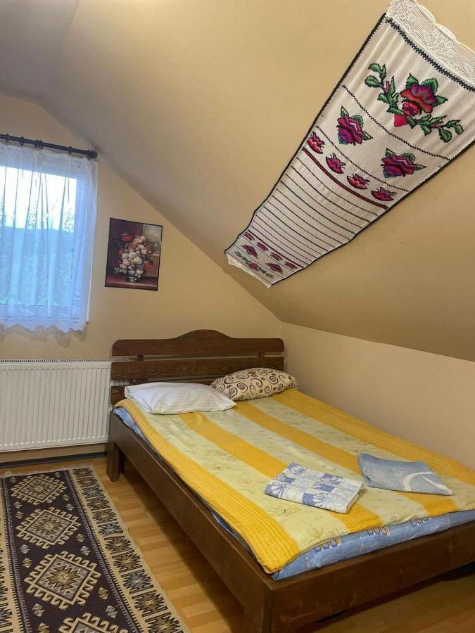 Pensiunea Iza Bradu  Exteriér fotografie