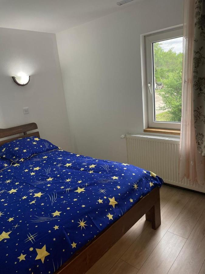 Pensiunea Iza Bradu  Exteriér fotografie