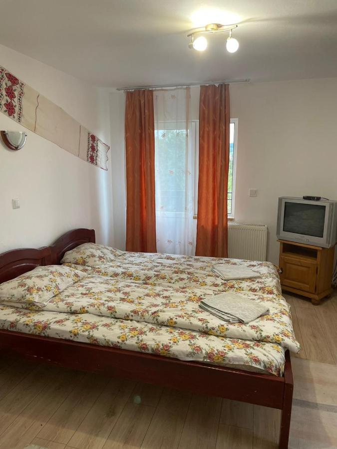 Pensiunea Iza Bradu  Exteriér fotografie