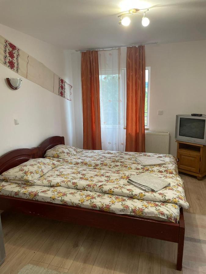 Pensiunea Iza Bradu  Exteriér fotografie