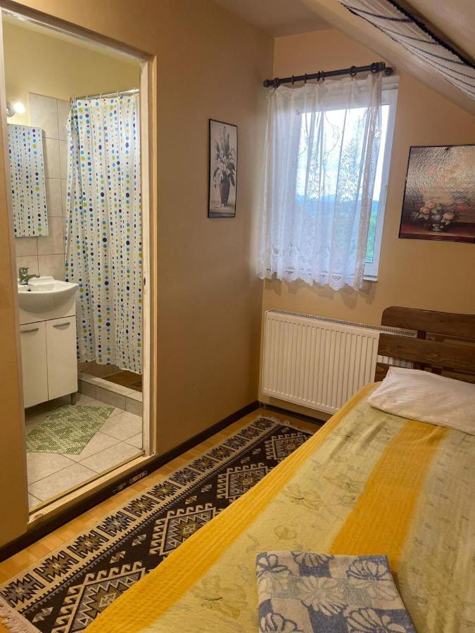 Pensiunea Iza Bradu  Exteriér fotografie