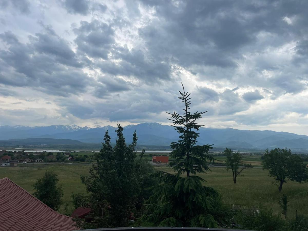 Pensiunea Iza Bradu  Exteriér fotografie