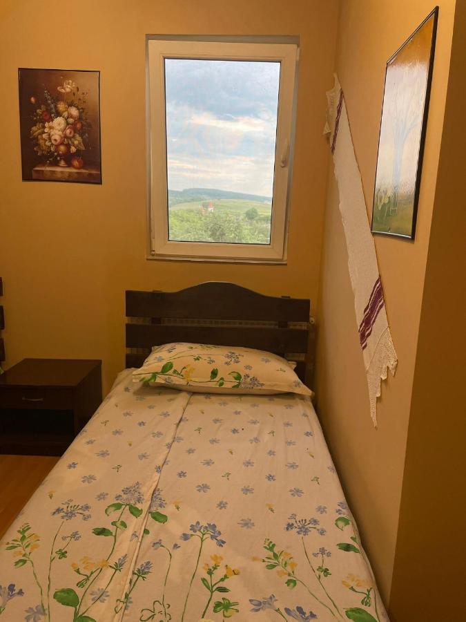 Pensiunea Iza Bradu  Exteriér fotografie
