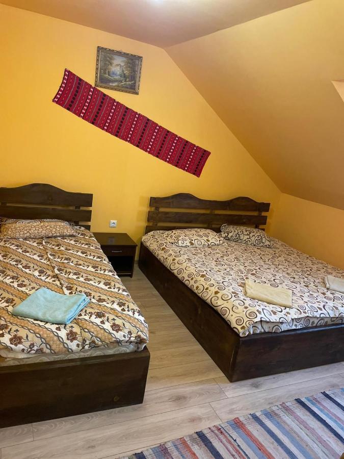 Pensiunea Iza Bradu  Exteriér fotografie