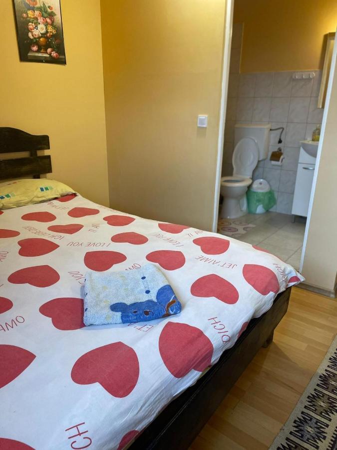 Pensiunea Iza Bradu  Exteriér fotografie