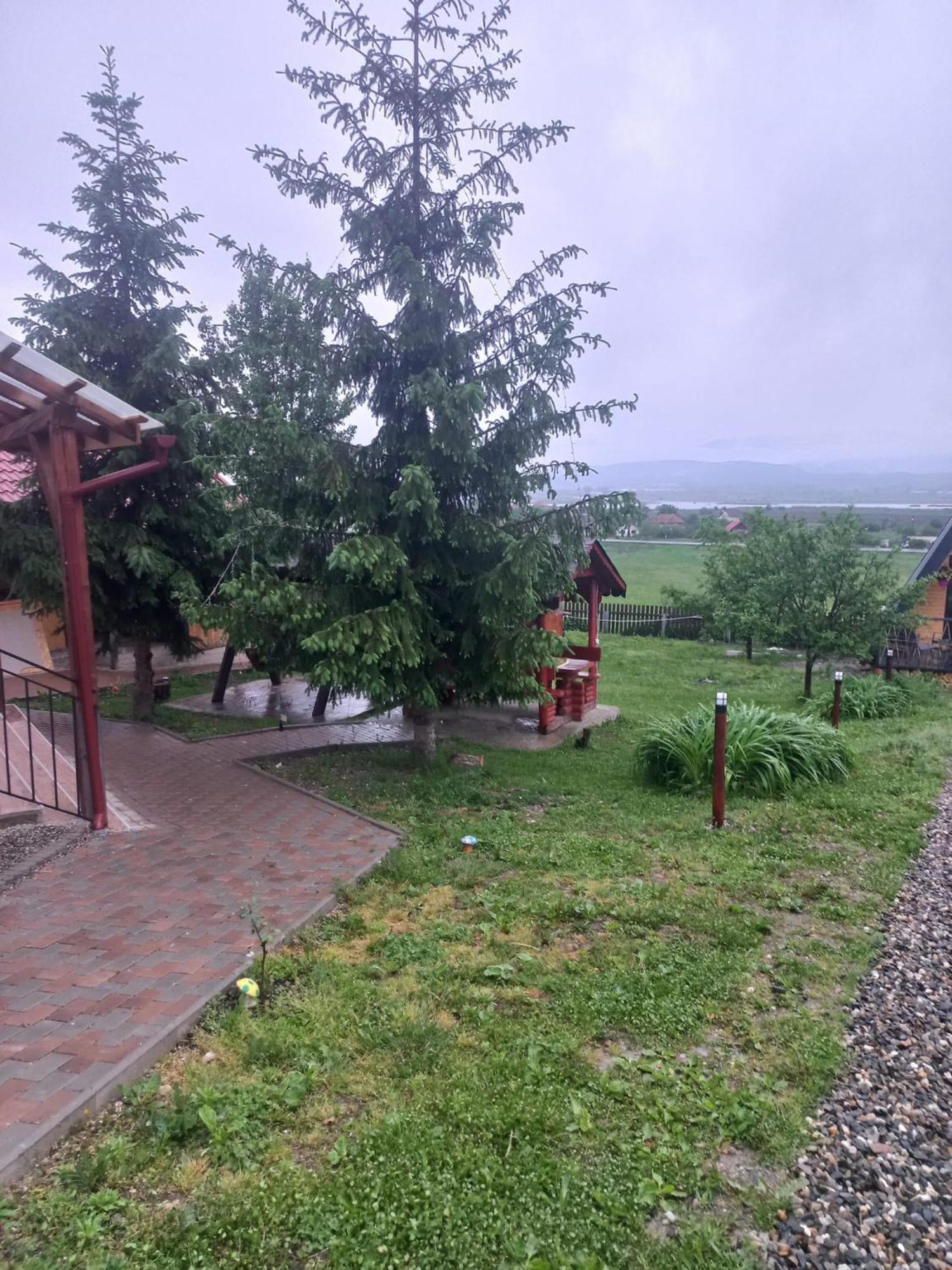 Pensiunea Iza Bradu  Exteriér fotografie